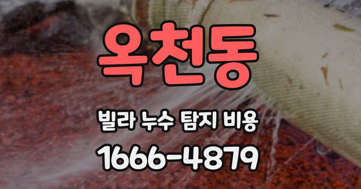 옥천동 빌라 누수 탐지 비용