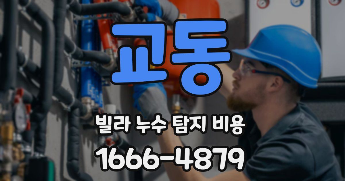 교동 빌라 누수 탐지 비용