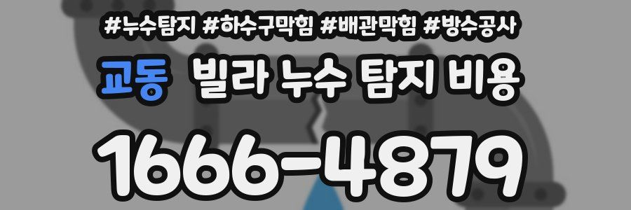 교동 빌라 누수 탐지 비용