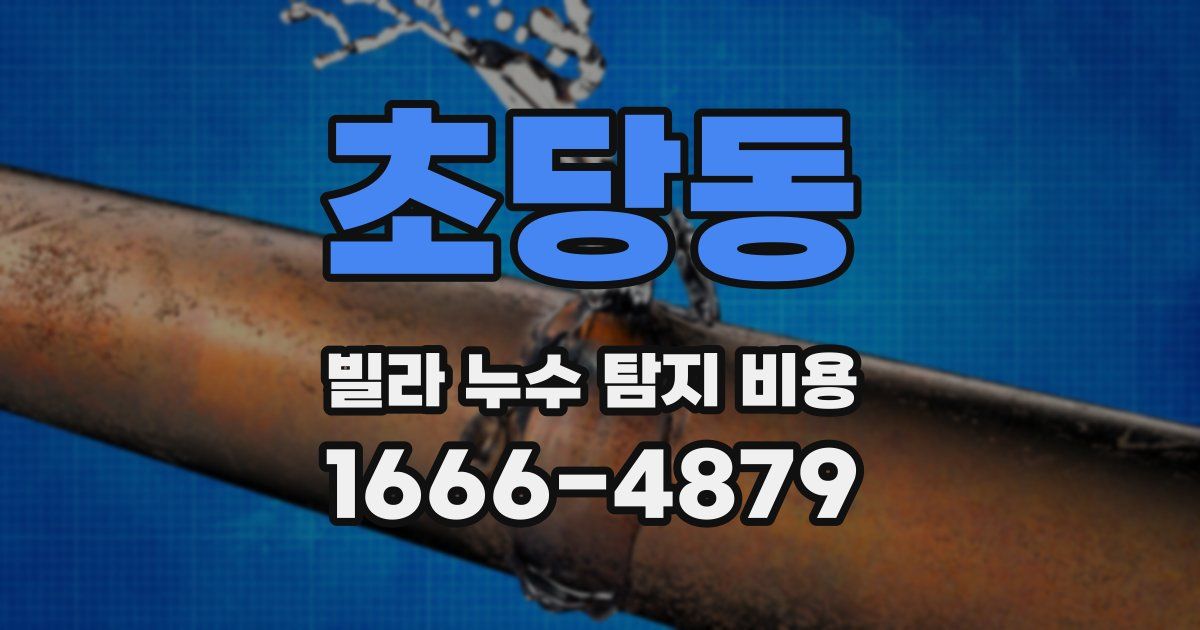 초당동 빌라 누수 탐지 비용