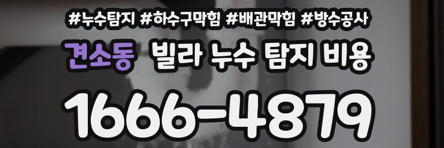 견소동 빌라 누수 탐지 비용