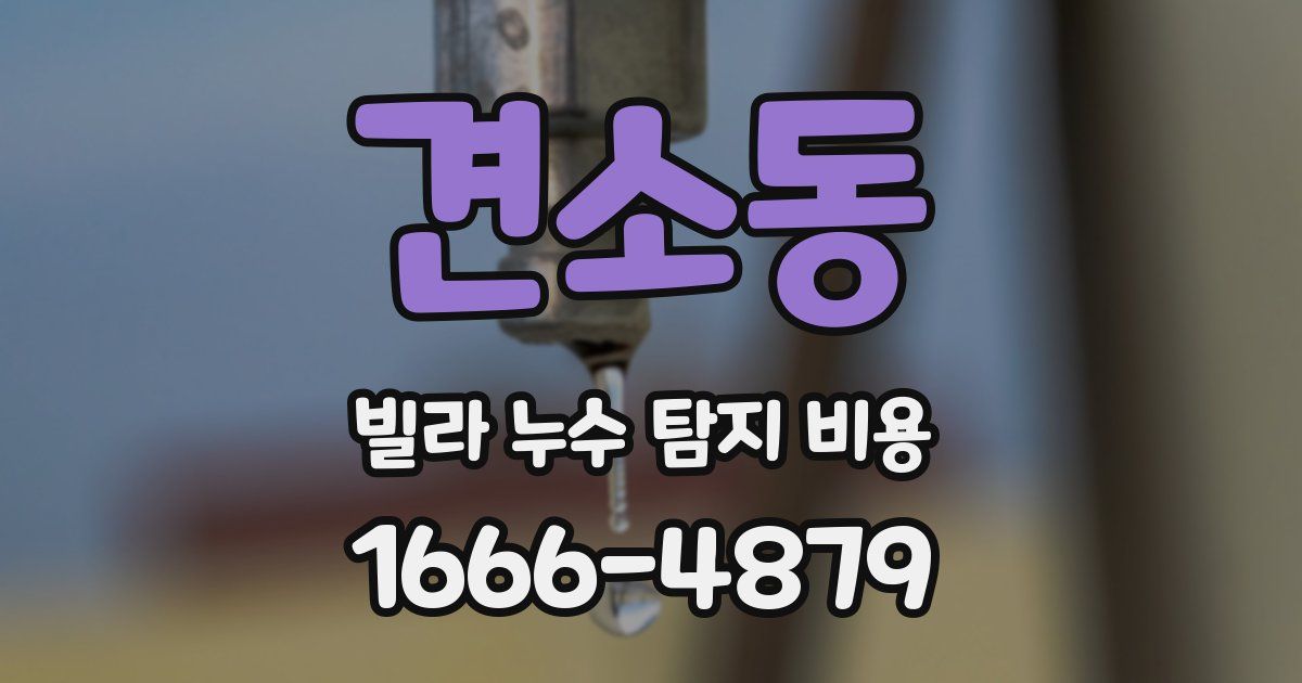 견소동 빌라 누수 탐지 비용
