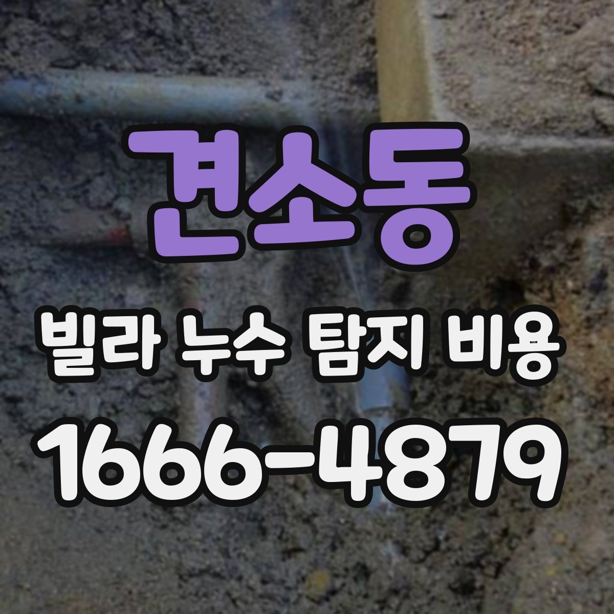 견소동 빌라 누수 탐지 비용
