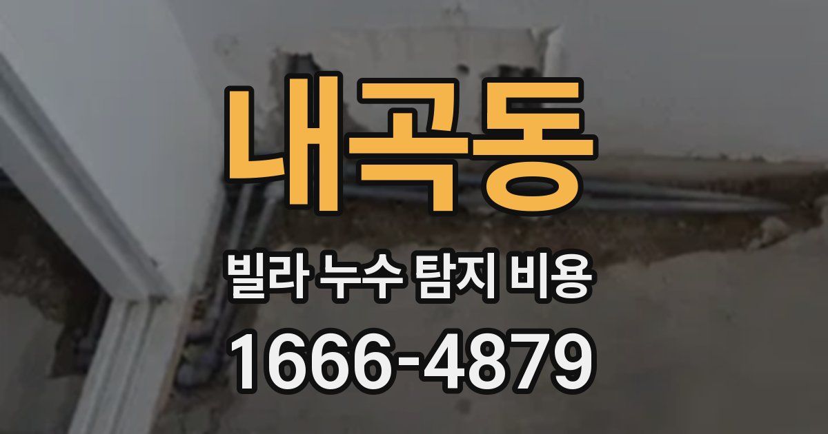 내곡동 빌라 누수 탐지 비용