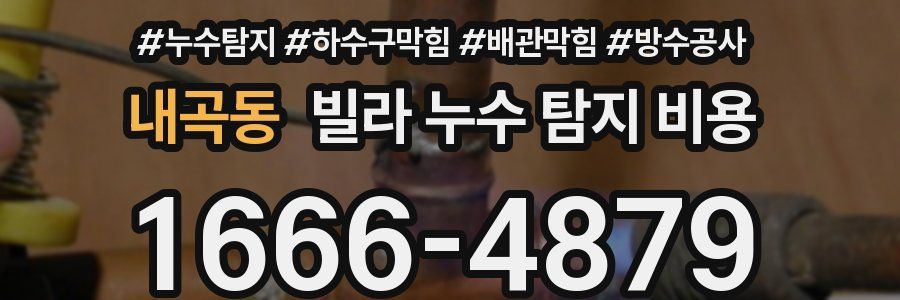 내곡동 빌라 누수 탐지 비용