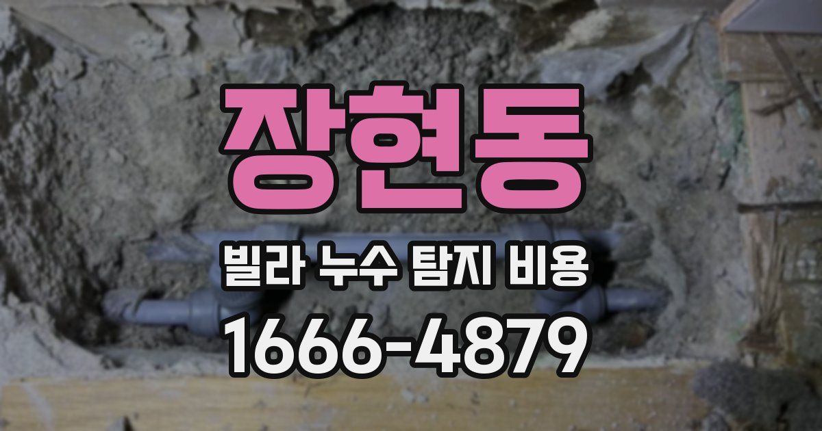장현동 빌라 누수 탐지 비용