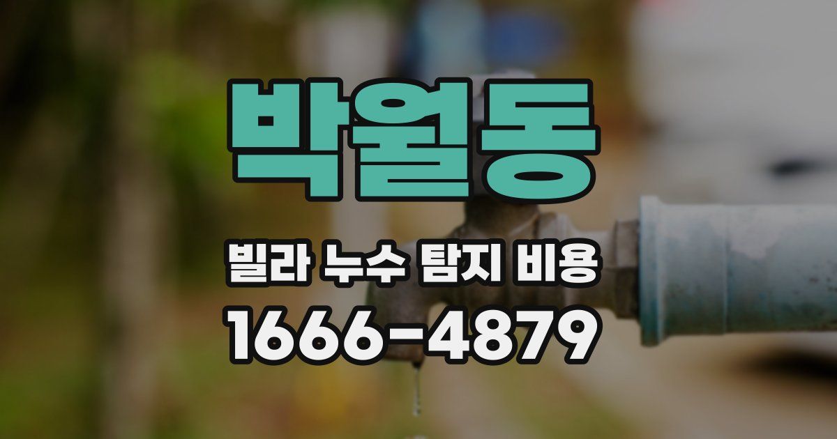 박월동 빌라 누수 탐지 비용