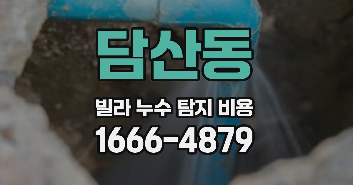 담산동 빌라 누수 탐지 비용