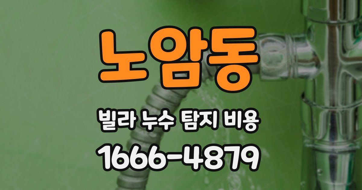 노암동 빌라 누수 탐지 비용