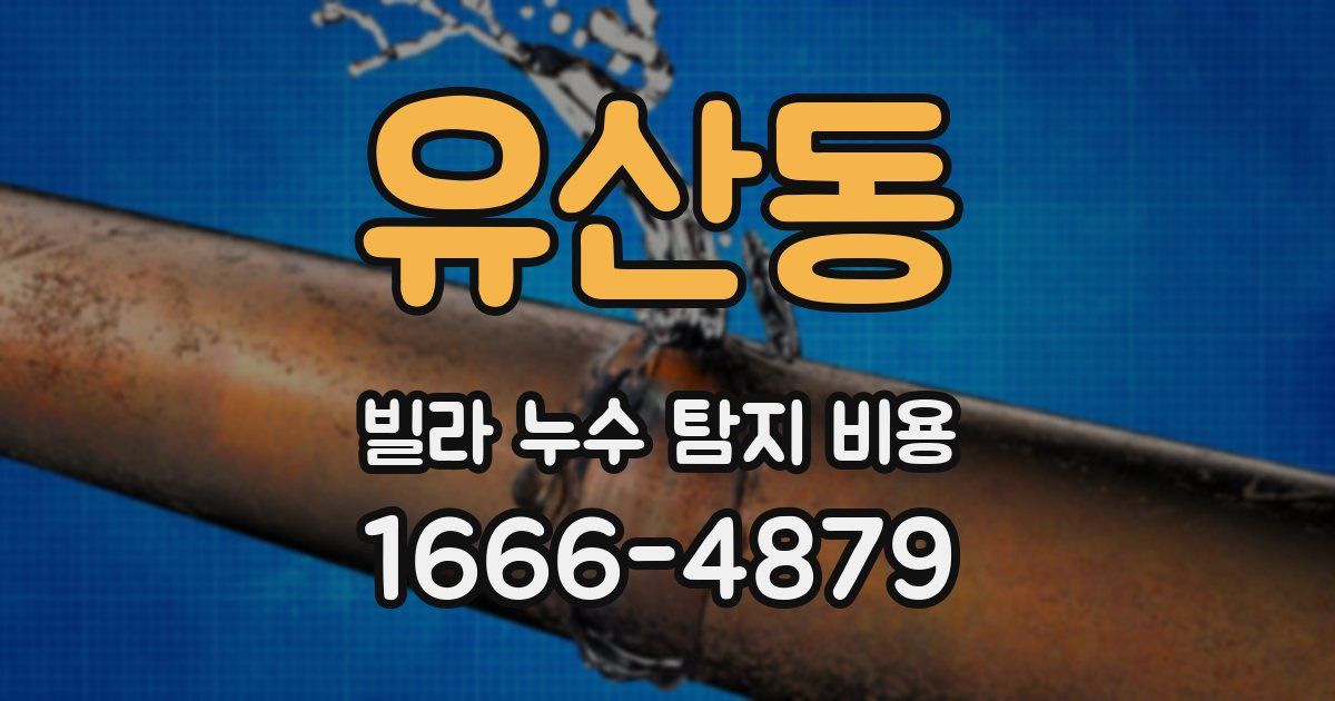 유산동 빌라 누수 탐지 비용