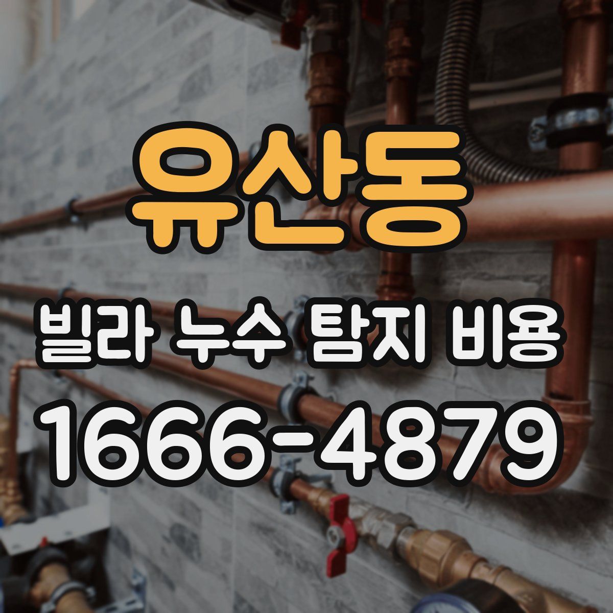 유산동 빌라 누수 탐지 비용