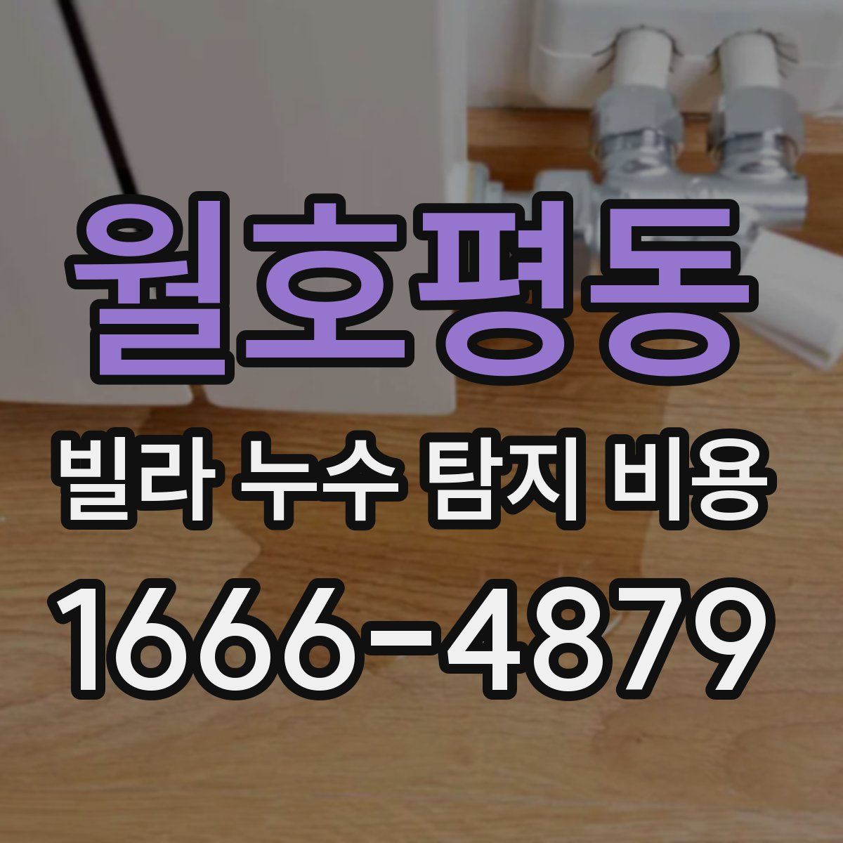 월호평동 빌라 누수 탐지 비용