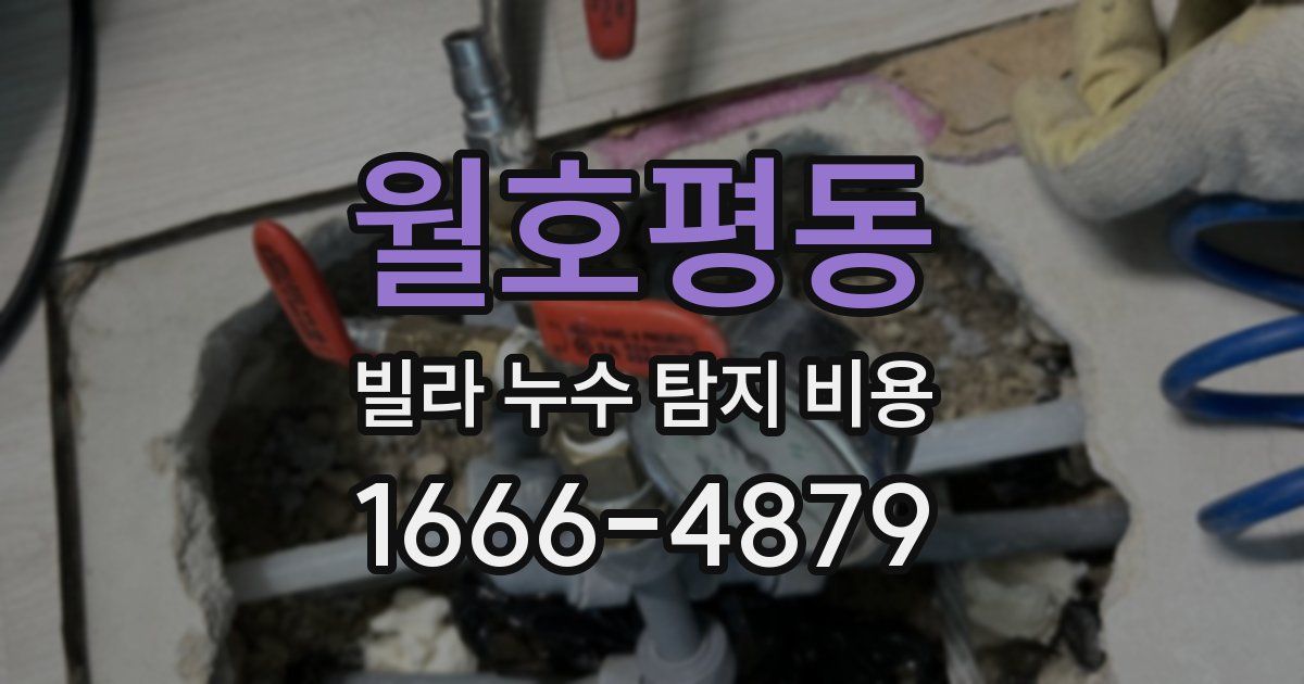 월호평동 빌라 누수 탐지 비용