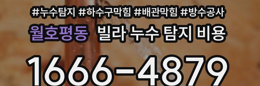 월호평동 빌라 누수 탐지 비용