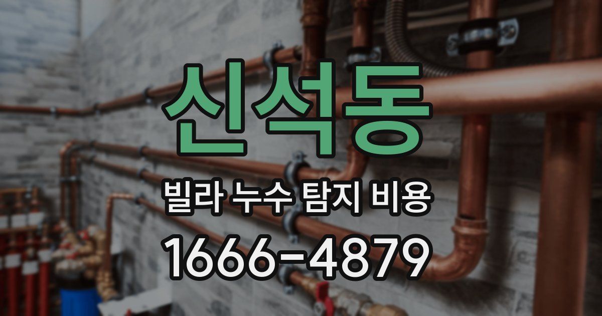 신석동 빌라 누수 탐지 비용