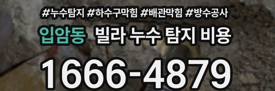 입암동 빌라 누수 탐지 비용