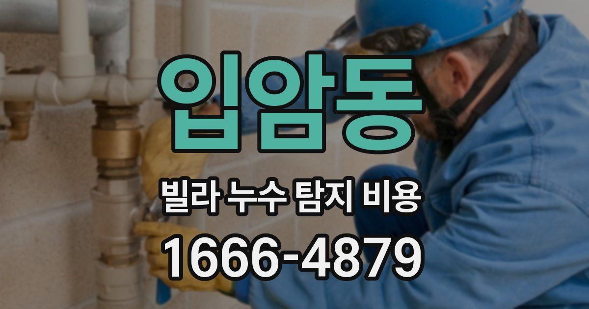 입암동 빌라 누수 탐지 비용