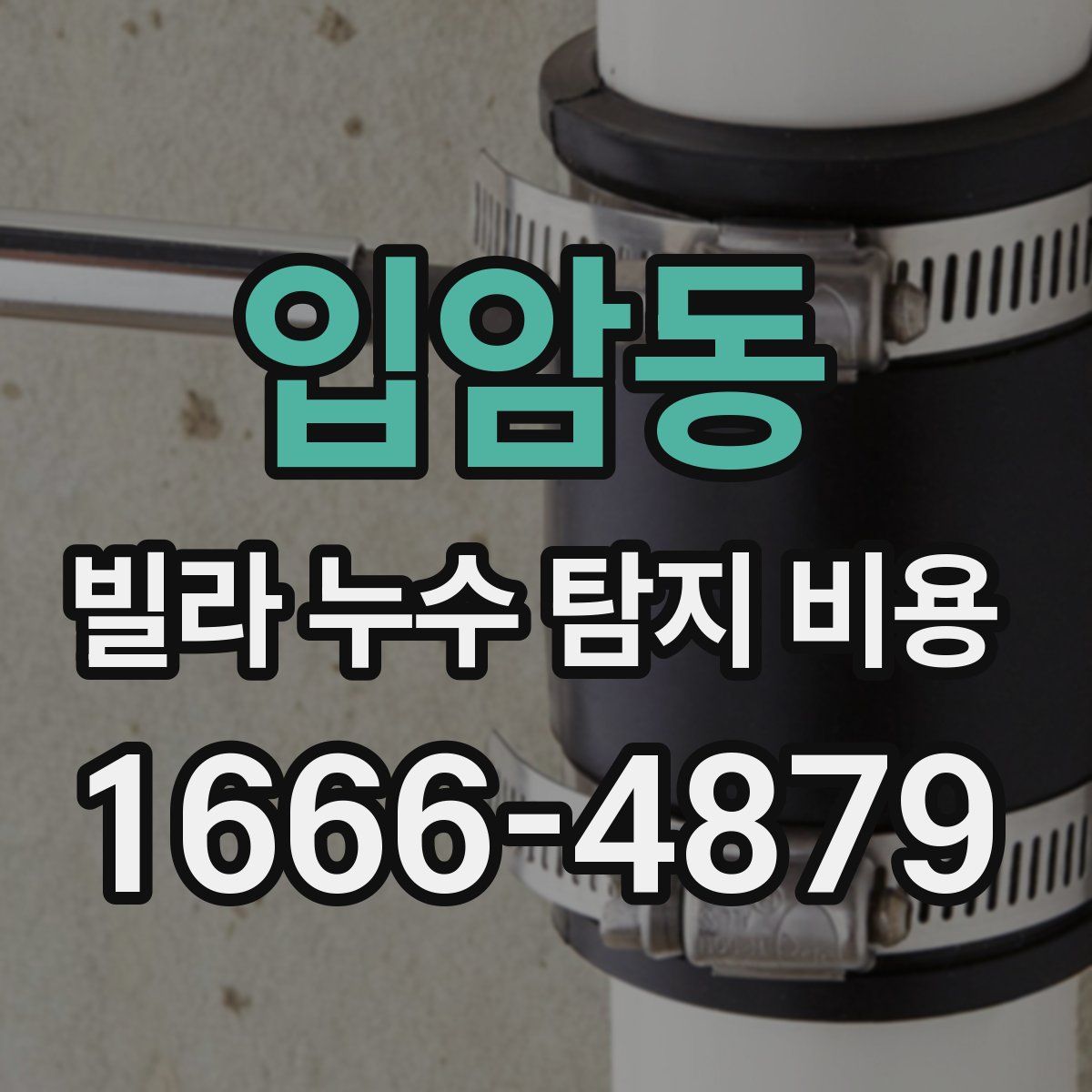 입암동 빌라 누수 탐지 비용