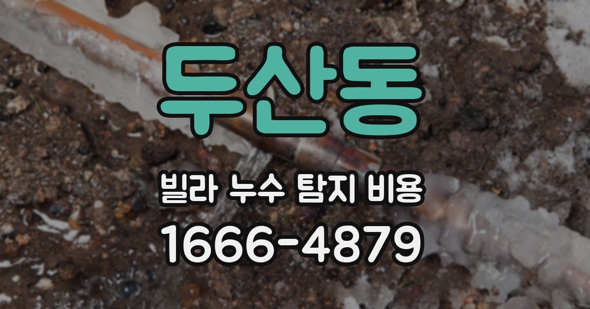 두산동 빌라 누수 탐지 비용