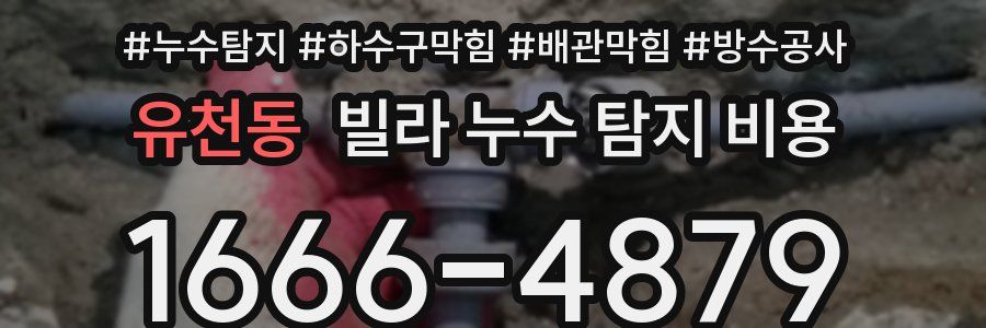 유천동 빌라 누수 탐지 비용