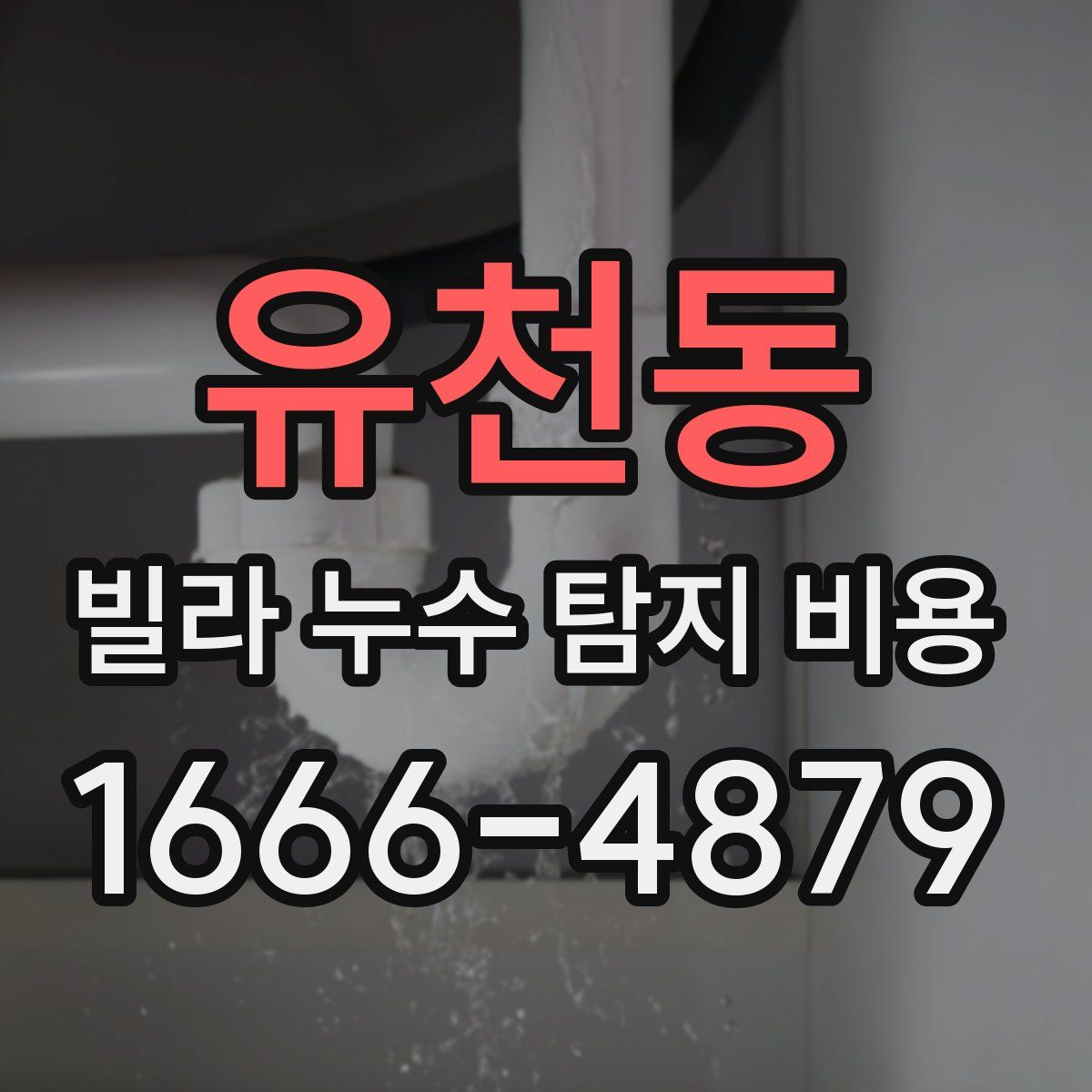 유천동 빌라 누수 탐지 비용
