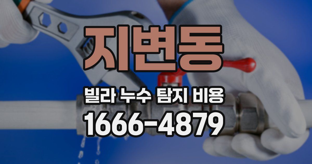 지변동 빌라 누수 탐지 비용