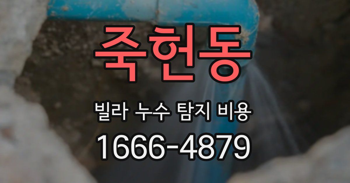 죽헌동 빌라 누수 탐지 비용