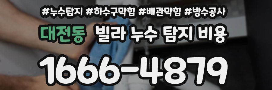 대전동 빌라 누수 탐지 비용