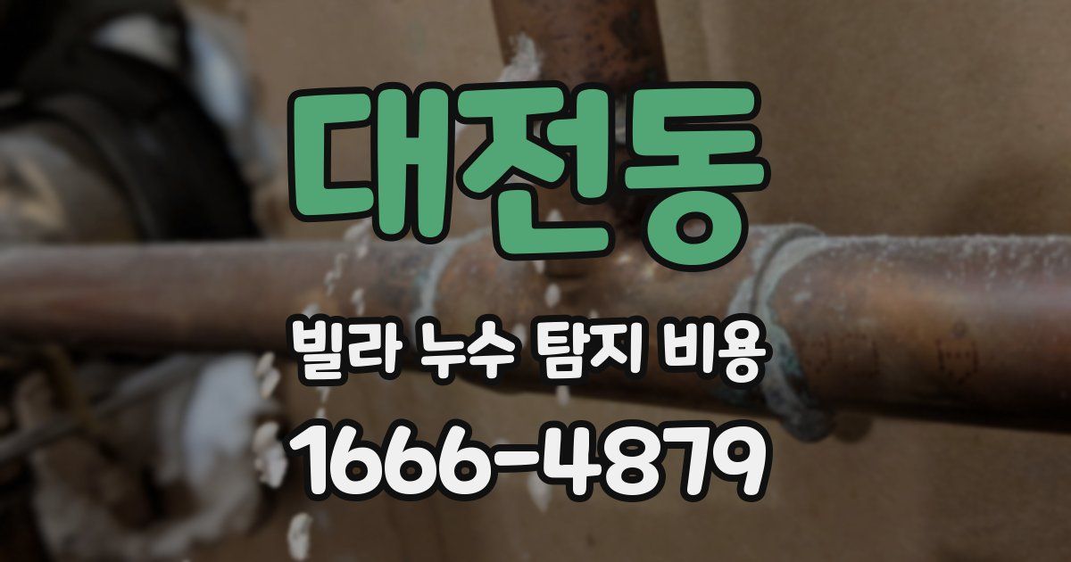 대전동 빌라 누수 탐지 비용