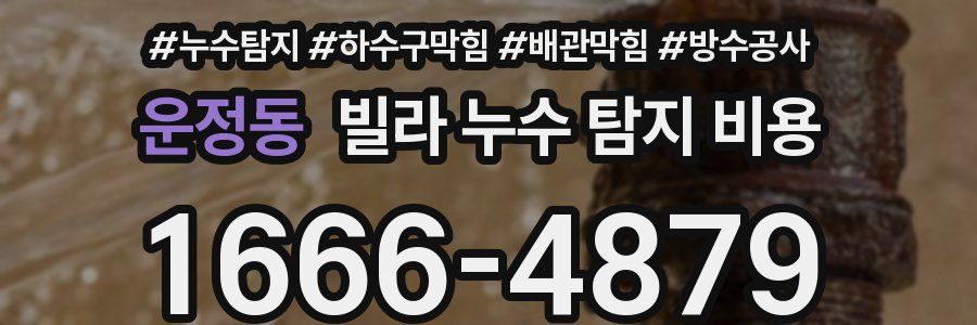 운정동 빌라 누수 탐지 비용
