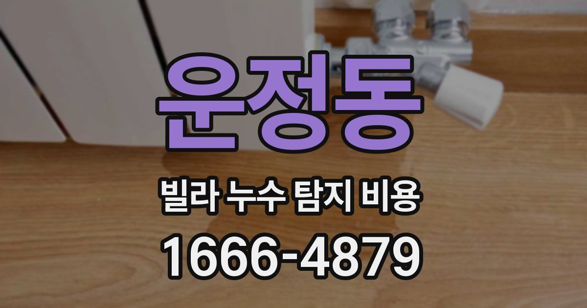 운정동 빌라 누수 탐지 비용