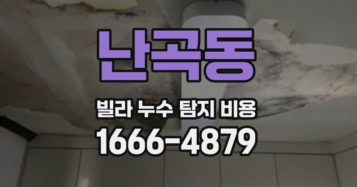 난곡동 빌라 누수 탐지 비용