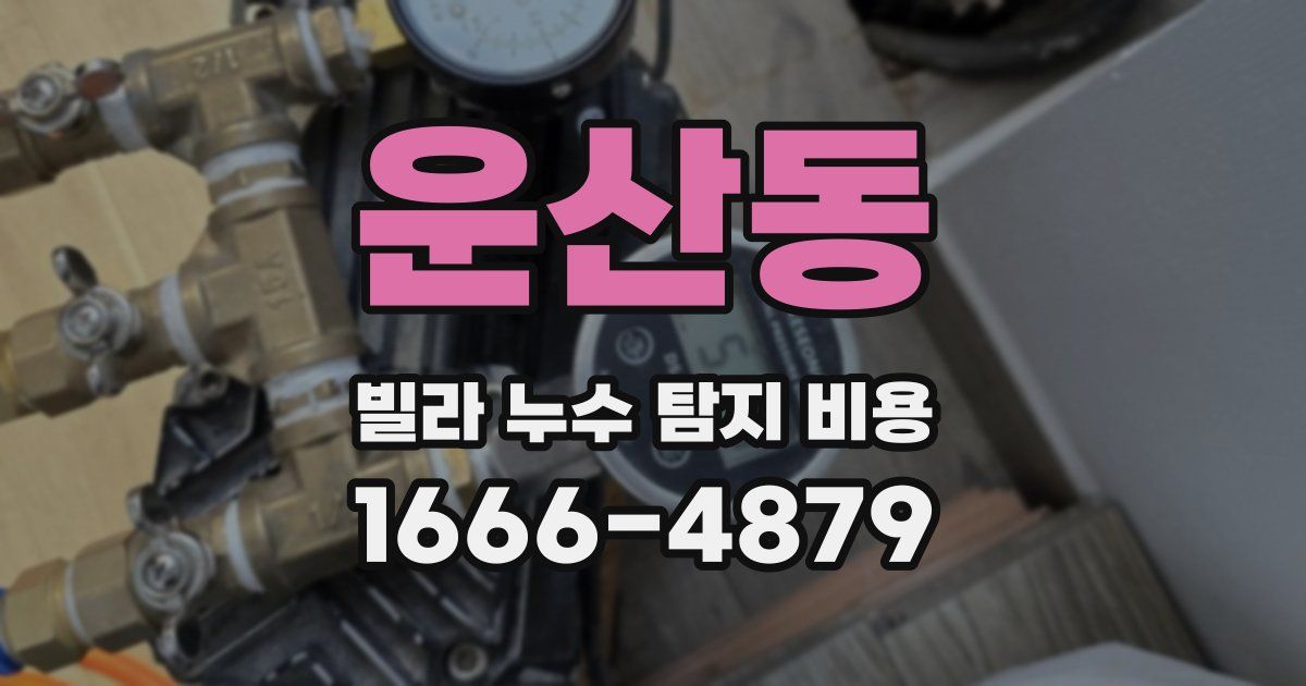 운산동 빌라 누수 탐지 비용