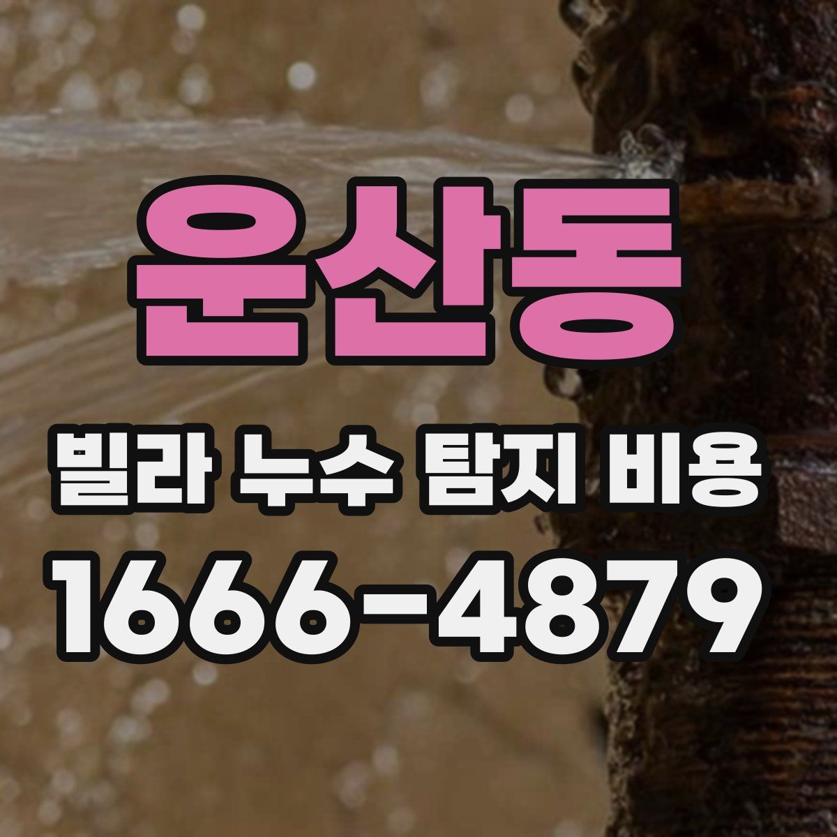 운산동 빌라 누수 탐지 비용