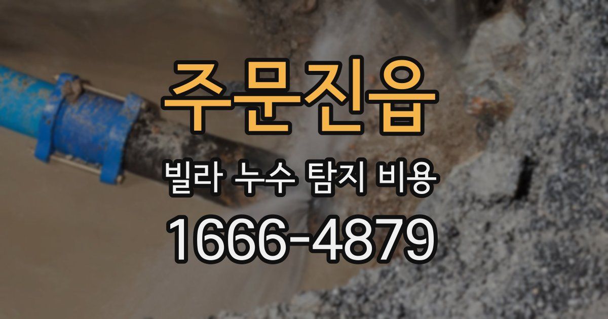 주문진읍 빌라 누수 탐지 비용