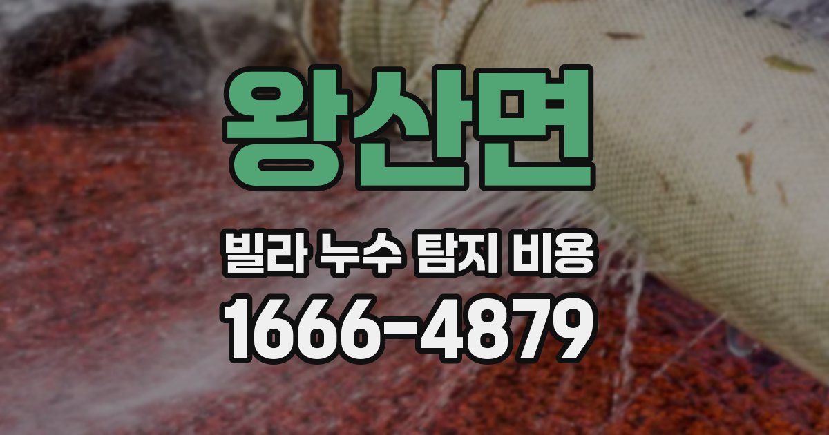 왕산면 빌라 누수 탐지 비용