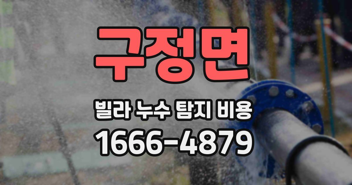 구정면 빌라 누수 탐지 비용