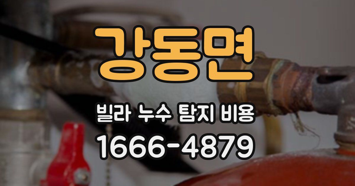 강동면 빌라 누수 탐지 비용