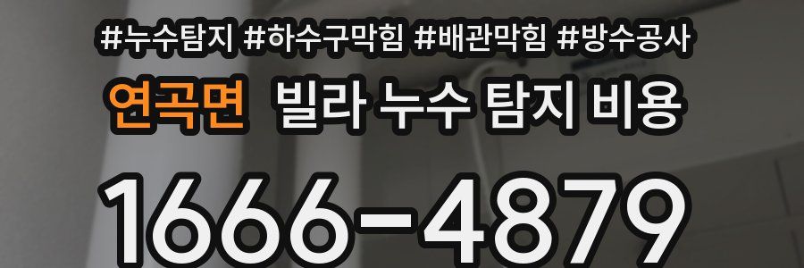 연곡면 빌라 누수 탐지 비용