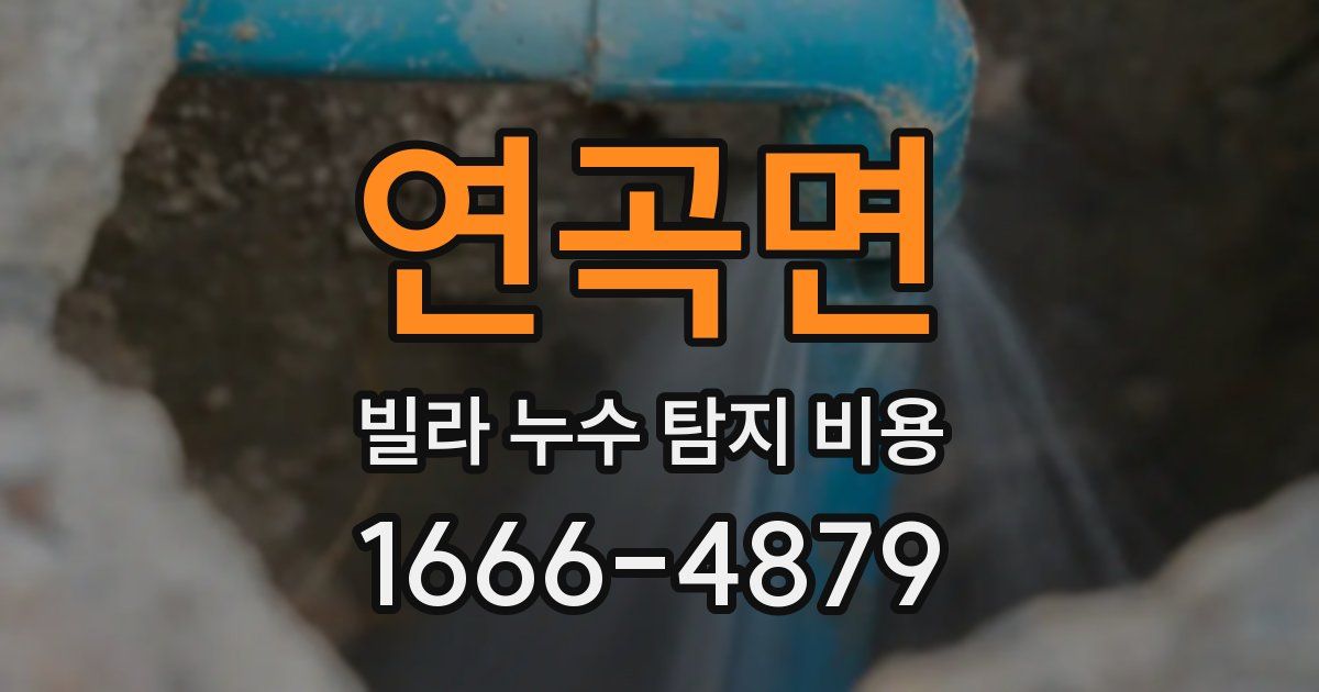 연곡면 빌라 누수 탐지 비용