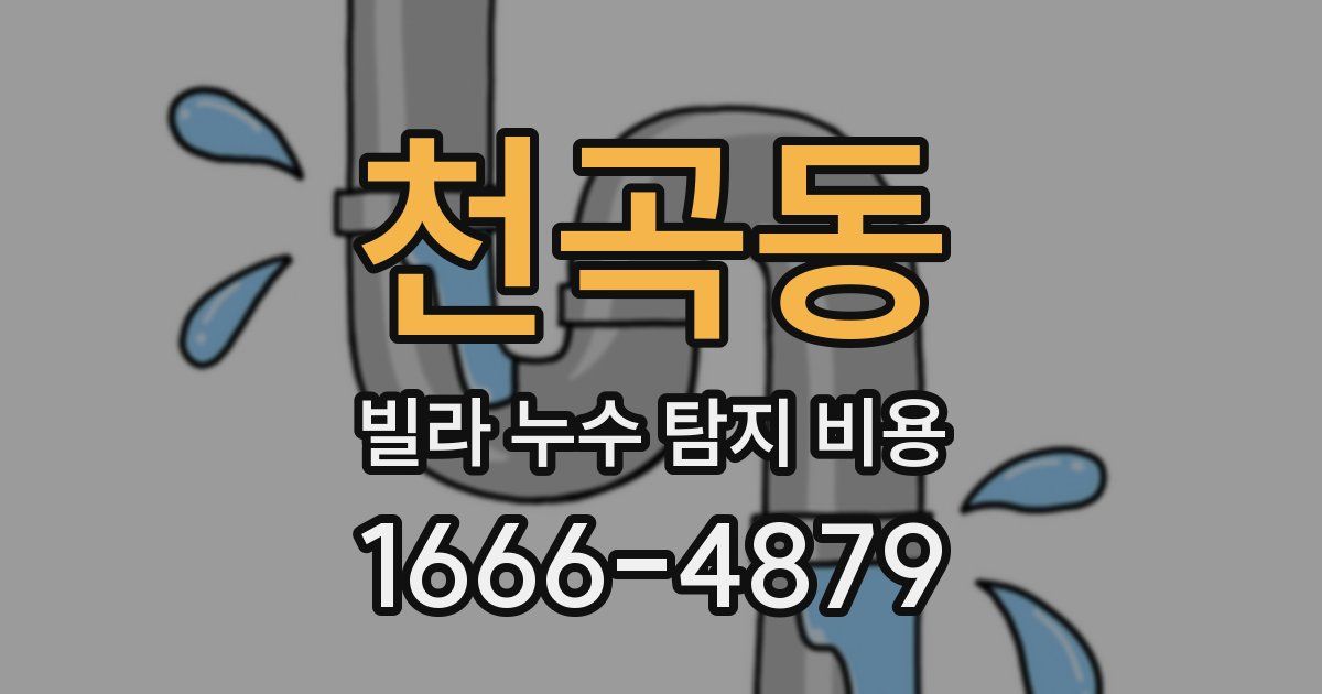 천곡동 빌라 누수 탐지 비용