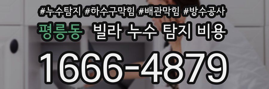 평릉동 빌라 누수 탐지 비용