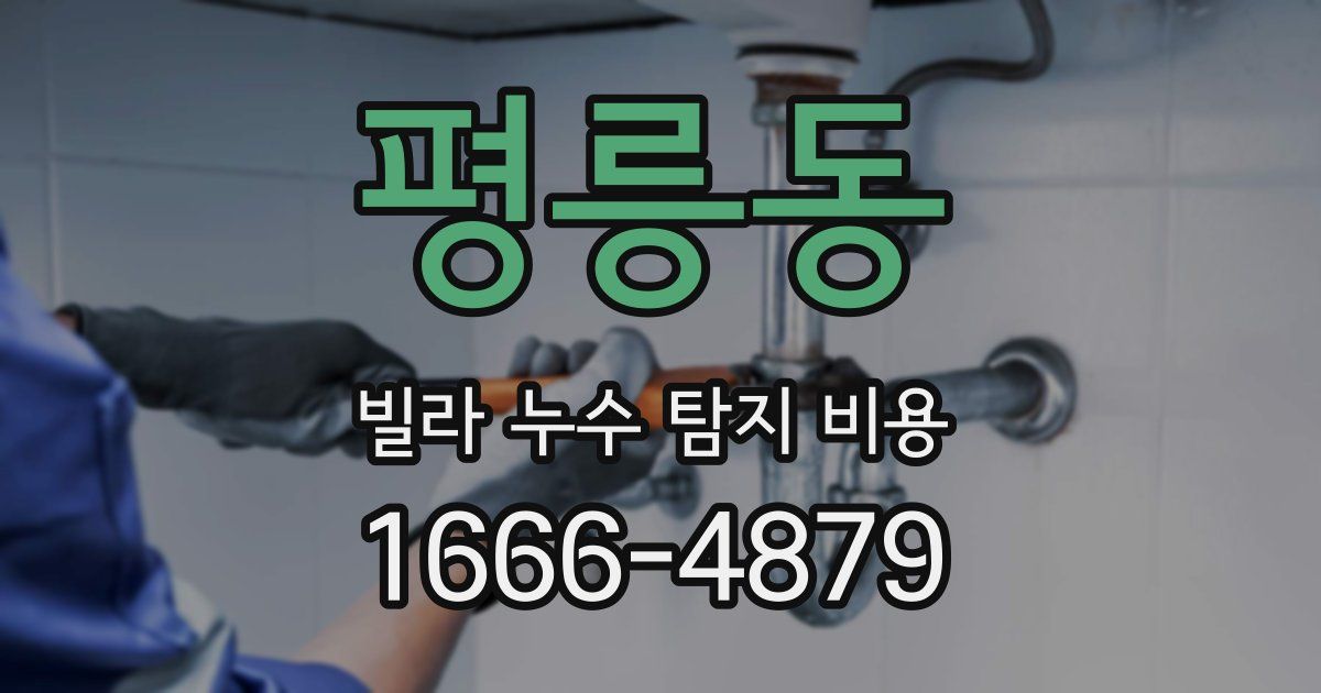 평릉동 빌라 누수 탐지 비용