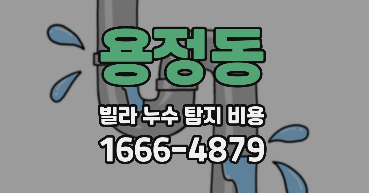용정동 빌라 누수 탐지 비용