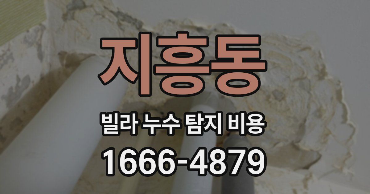 지흥동 빌라 누수 탐지 비용