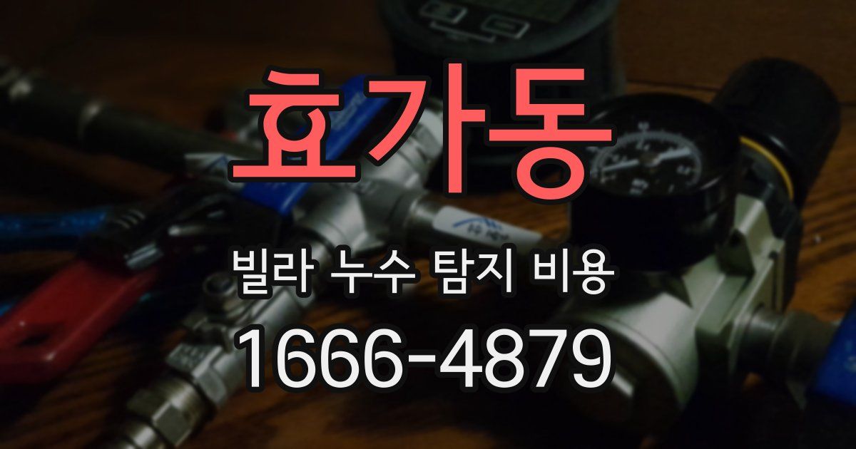 효가동 빌라 누수 탐지 비용