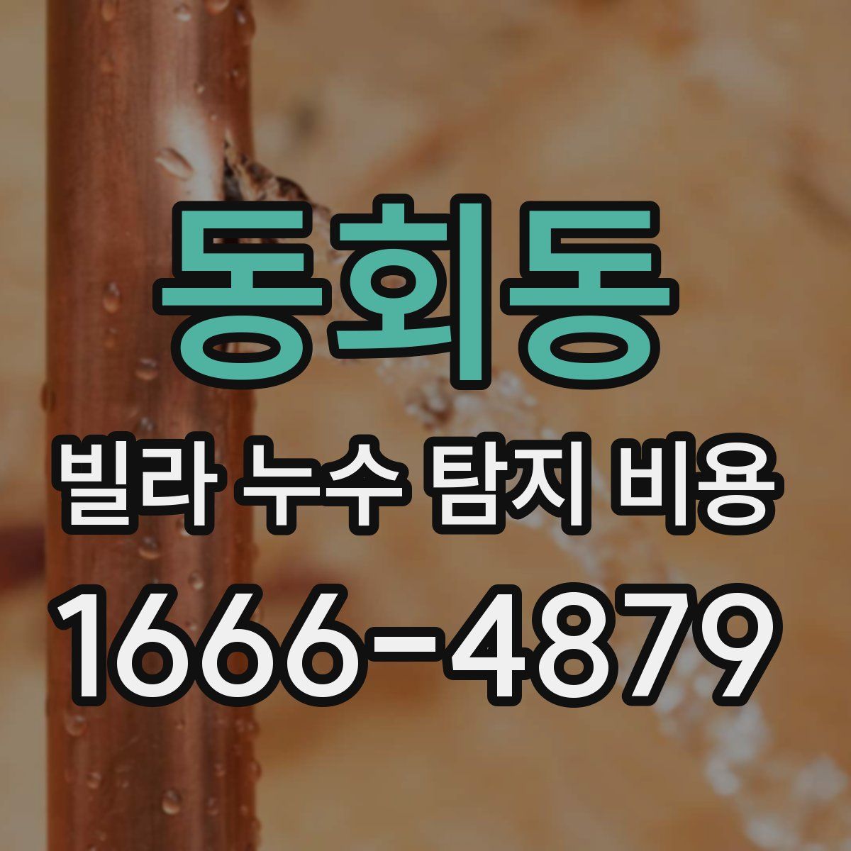 동회동 빌라 누수 탐지 비용