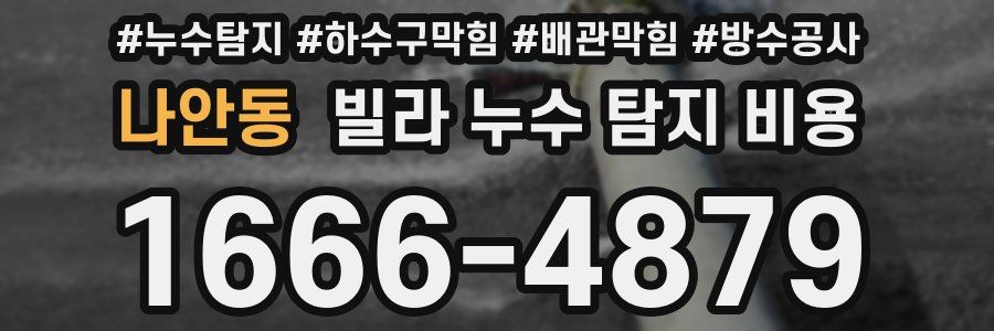 나안동 빌라 누수 탐지 비용