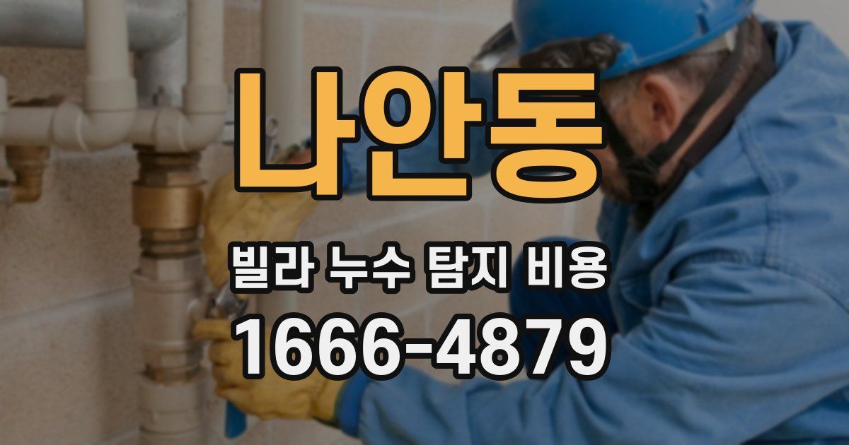 나안동 빌라 누수 탐지 비용