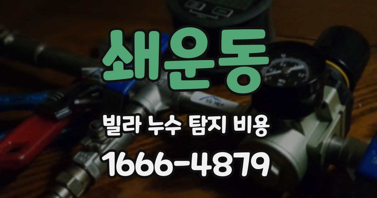 쇄운동 빌라 누수 탐지 비용